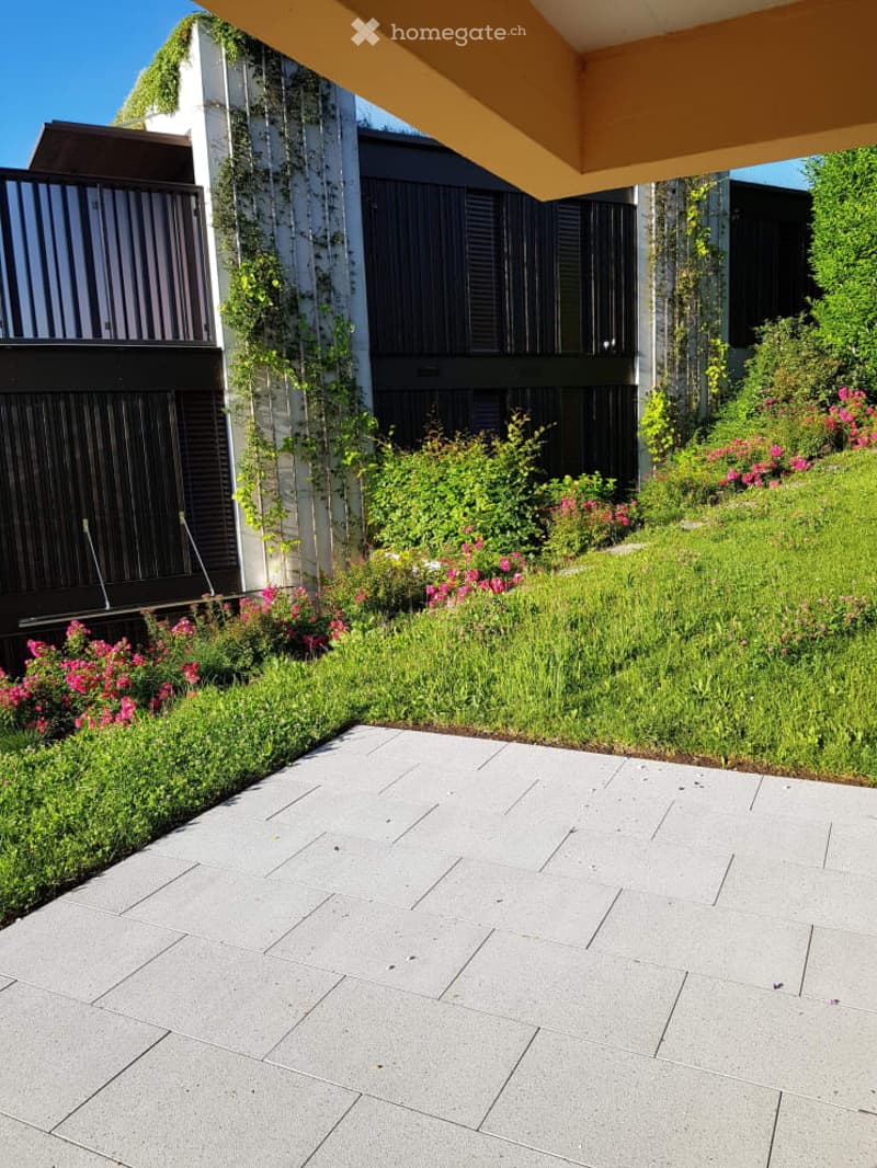 Garden / Outdoor Area. Well-maintained garden area with neatly trimmed hedges, colorful flowering plants, and a modern paved patio.