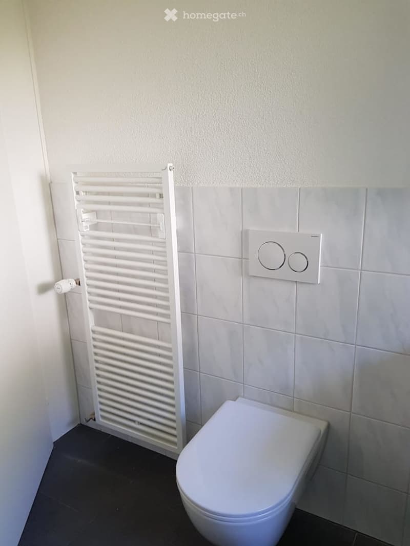 Bathroom. Modern bathroom with a white toilet, a white radiator, and a toilet paper roll on the wall.