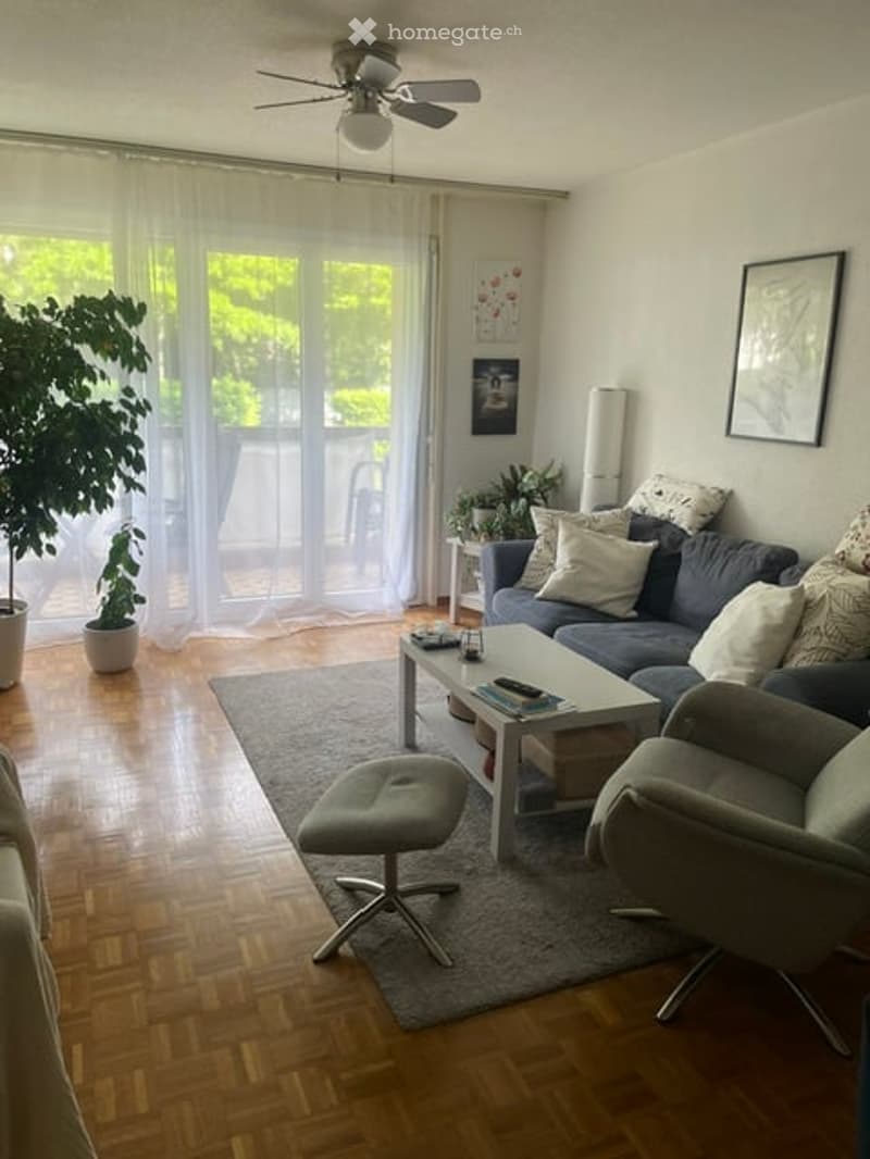 Modern living room with hardwood flooring, large windows with sheer curtains, blue sofa with multiple cushions, white coffee table, grey stool, armchair, and potted plants.