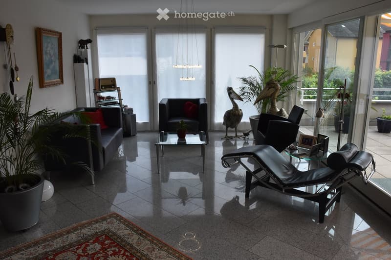 Modern living room with large windows, a sofa, a coffee table, a lounge chair, a table lamp, and decorative plants.