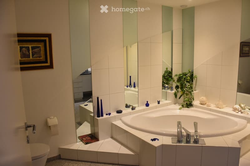 Modern bathroom with a large bathtub, sleek faucet, toilet, large mirror, decorative vases, a small plant, and a framed picture on the wall.