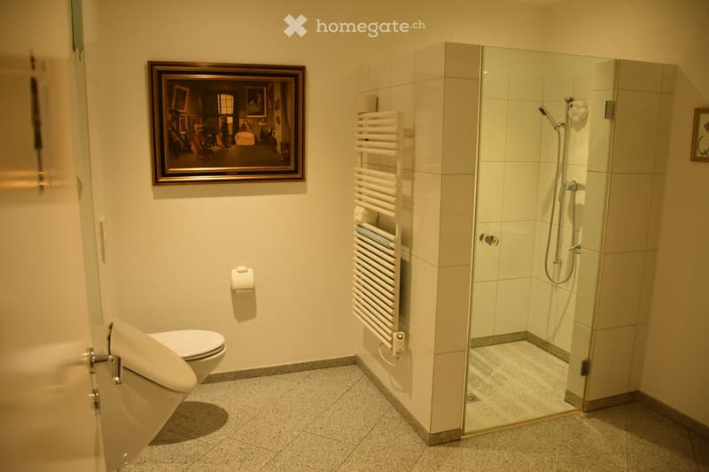 Modern bathroom with a toilet, glass-enclosed shower, towel rack, and a framed picture on the wall.