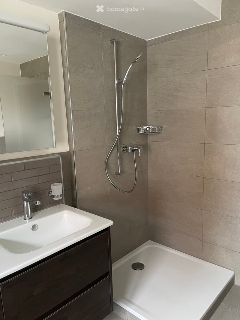 Modern bathroom with a white sink, dark wooden cabinet, bathtub, and a showerhead with a hose. The walls are tiled in a neutral color, and a mirror is mounted above the sink.
