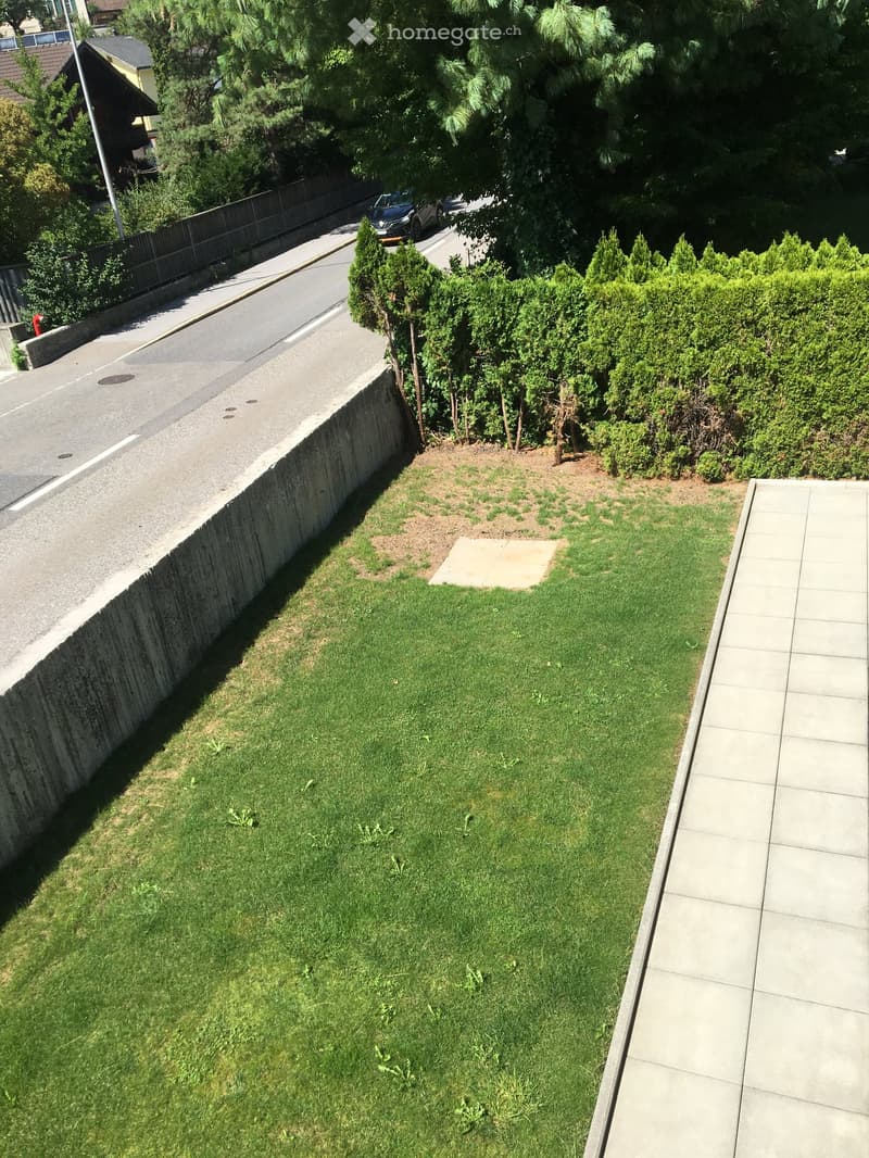 A small, well-maintained garden area with green grass, a concrete pathway, and a low concrete wall bordering a street.