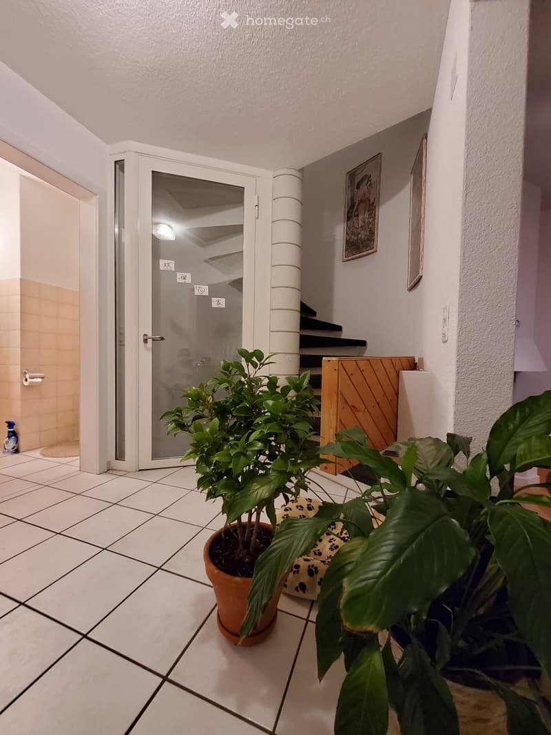 Hallway with tiled floor, potted plants, a wooden cabinet, and a framed picture on the wall. A glass door leads to another room.