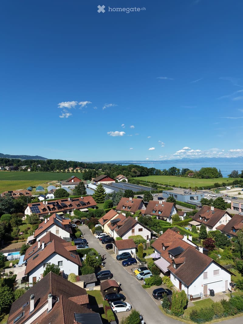 Aerial view of a residential neighborhood with multiple houses, solar panels on roofs, parked cars, and surrounding greenery.