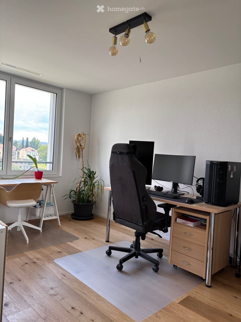 A modern, well-lit office space with a large window offering a scenic view. The room features a comfortable office chair, a wooden desk with a computer setup, and several potted plants adding a touch of greenery.