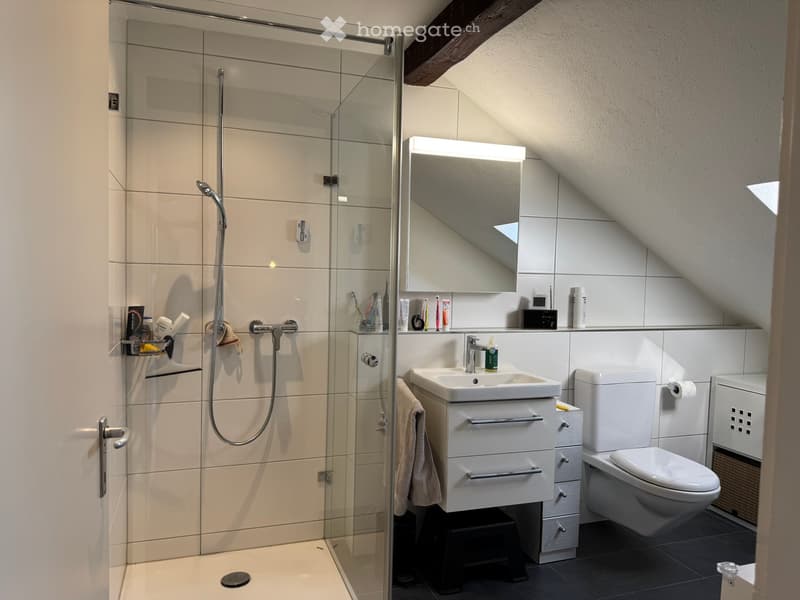 Modern bathroom with a glass-enclosed shower, white tiles, a sink with a mirror, and a toilet. The space features a sleek design with a towel hanging on the side and toiletries neatly arranged on the sink counter.