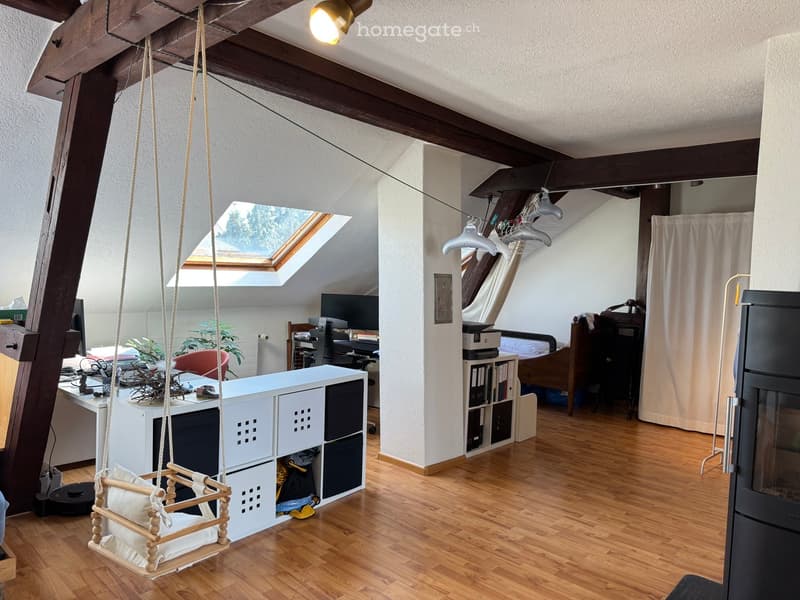 A multi-functional room with a swing chair, desk, chair, screen, bookshelf, plant, and fireplace. The room features wooden flooring and exposed wooden beams on the ceiling.