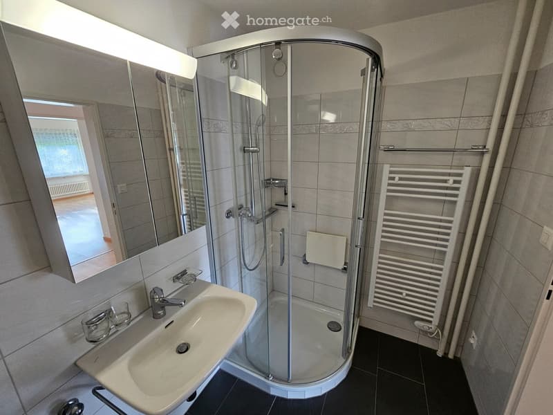 Modern bathroom with a corner shower stall, sink with faucet, large mirror, and towel rack.