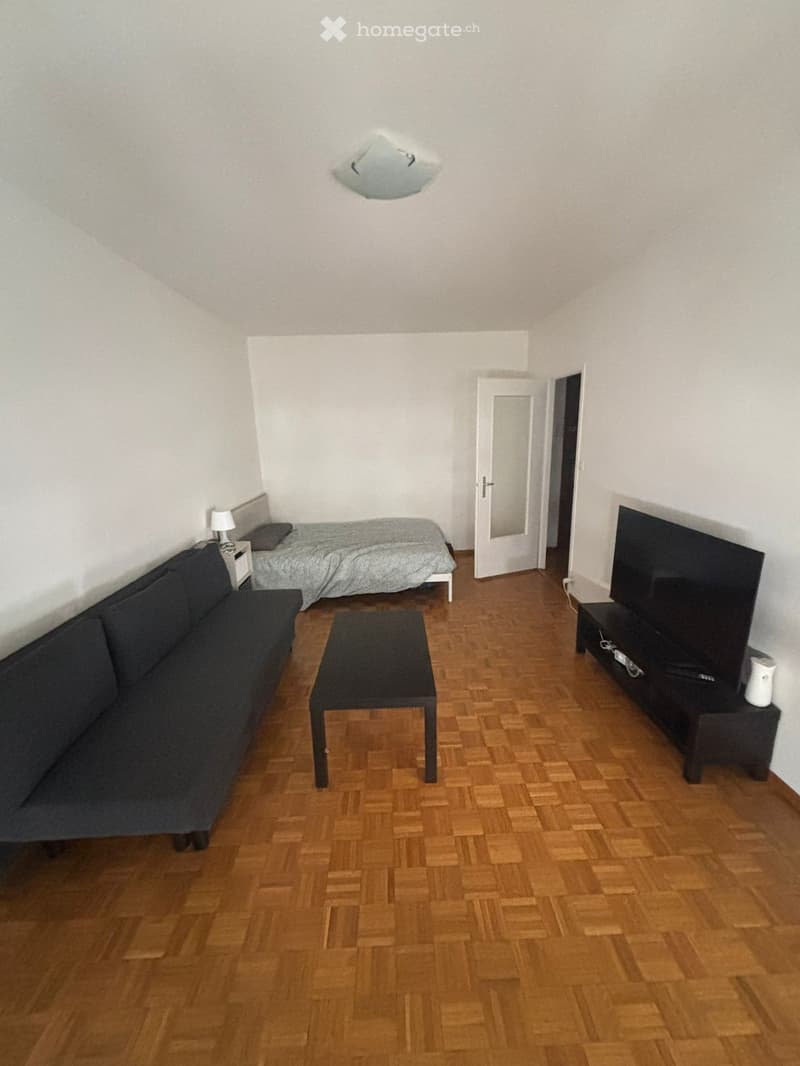 A modern, multi-functional room with a sofa, coffee table, television, bed, and nightstand. The room features wooden flooring and white walls.