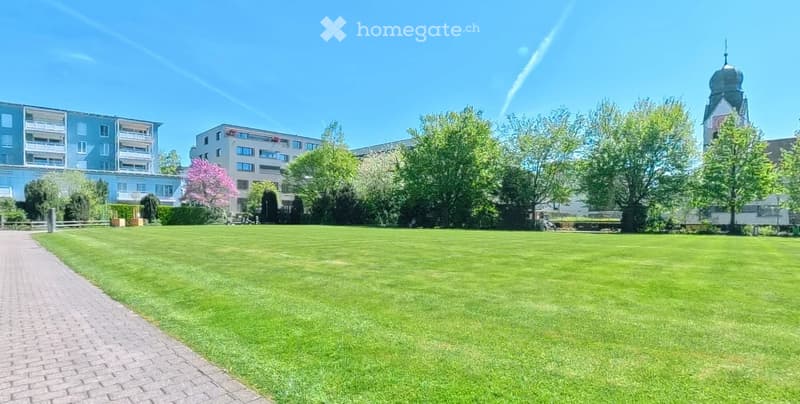 Well-maintained lawn with a brick pathway, surrounded by trees and buildings, including a tower with a dome in the background.