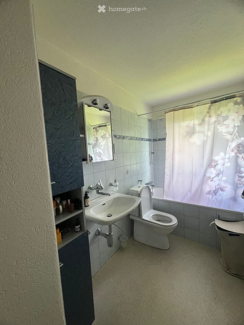 Bathroom with a sink, toilet, mirror, dark cabinet, and a shower area with a curtain.