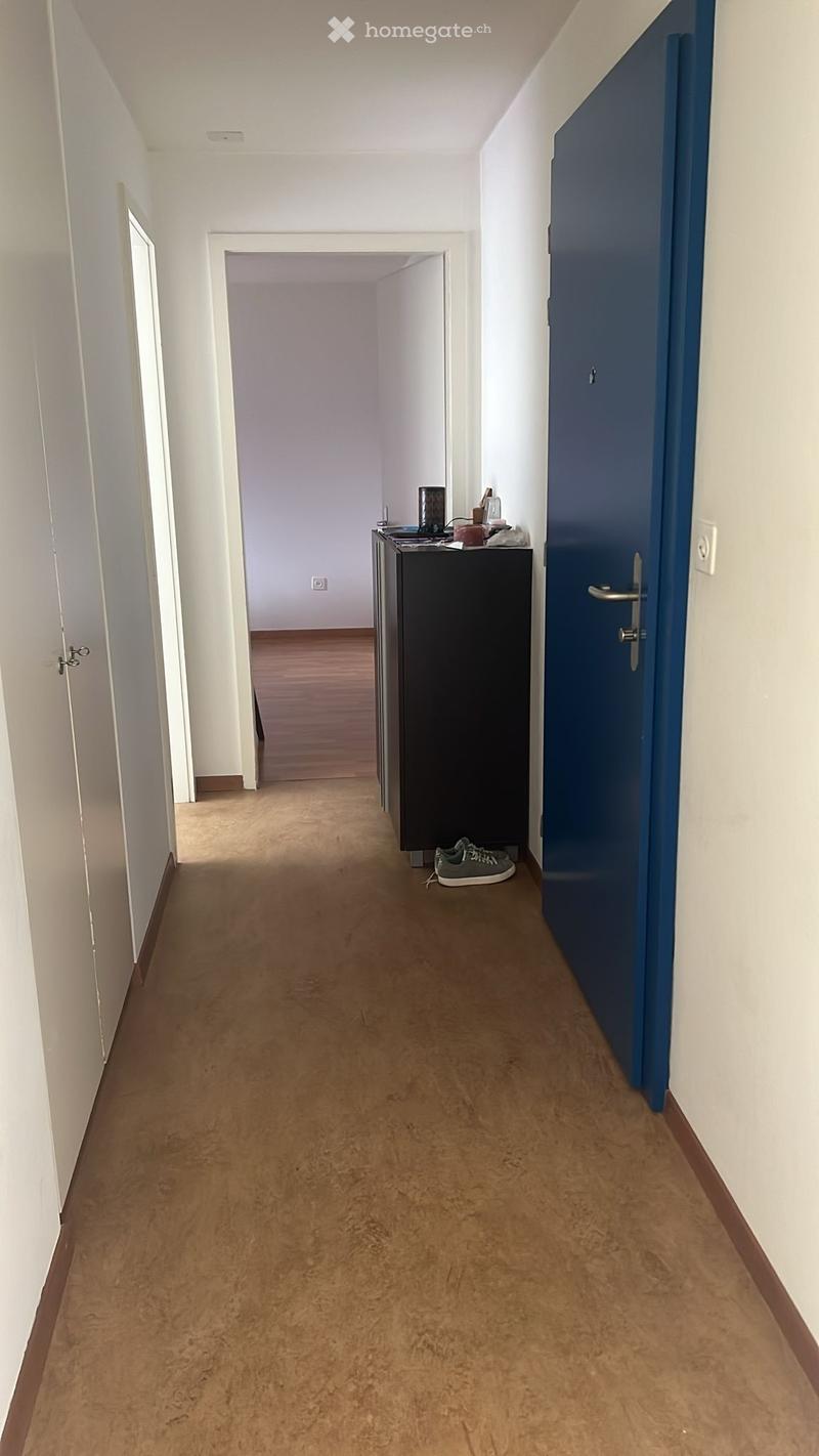 Empty hallway with light-colored walls, wooden flooring, and a small black cabinet with items on top and a pair of shoes on the floor.