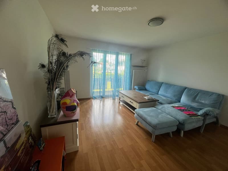 Bright living room with wooden flooring, large window with blue curtains, light blue sofa, coffee table, ottoman, decorative vase with feathers, and a colorful sculpture on a side table.