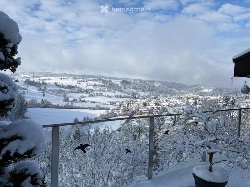 A snowy balcony overlooking a town with snow-covered fields, houses, and trees.