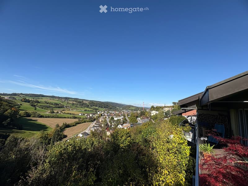 Balcony overlooking a scenic countryside with fields, houses, and distant hills under a clear blue sky.