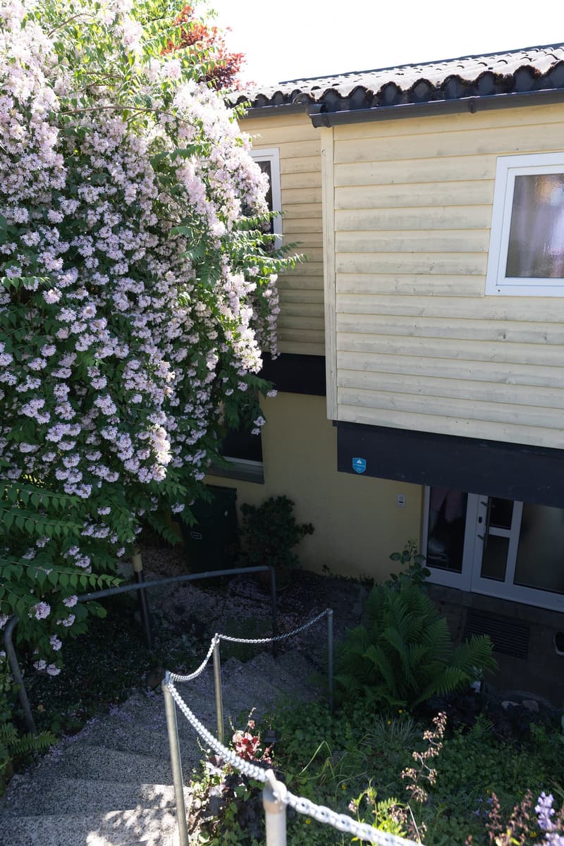 A small garden area with a wooden shed, climbing pink flowers, a gravel pathway, and a metal fence with a chain barrier.