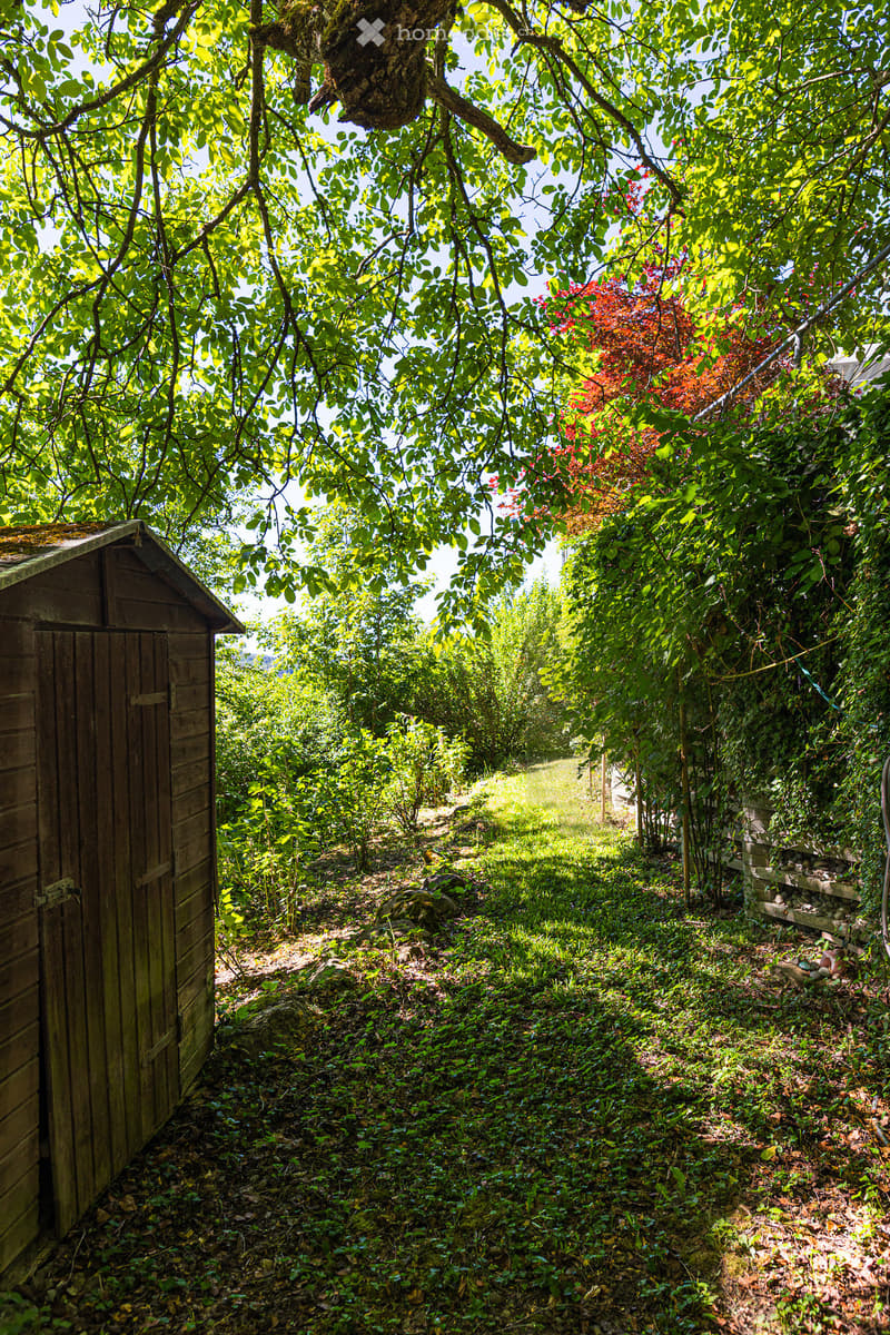 A lush, green garden area with dense foliage, a wooden shed, and a stone structure partially visible, surrounded by trees and shrubs.