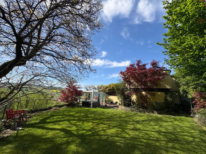 Well-maintained garden with a lawn, a red bench, a hot tub, and a covered outdoor seating area. The garden is surrounded by trees and shrubs, with a view of a valley in the background.