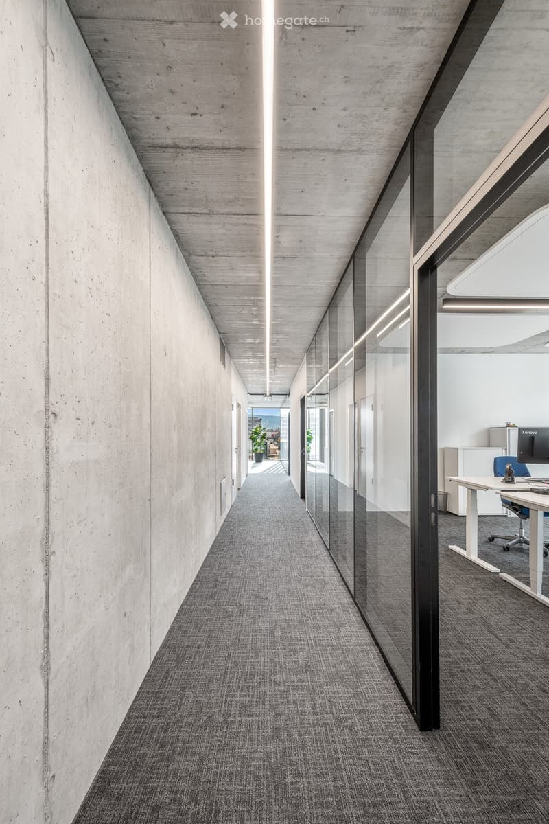 An empty hallway with gray carpets and white walls, a glass door at the end, and doors leading to the rooms on both sides.