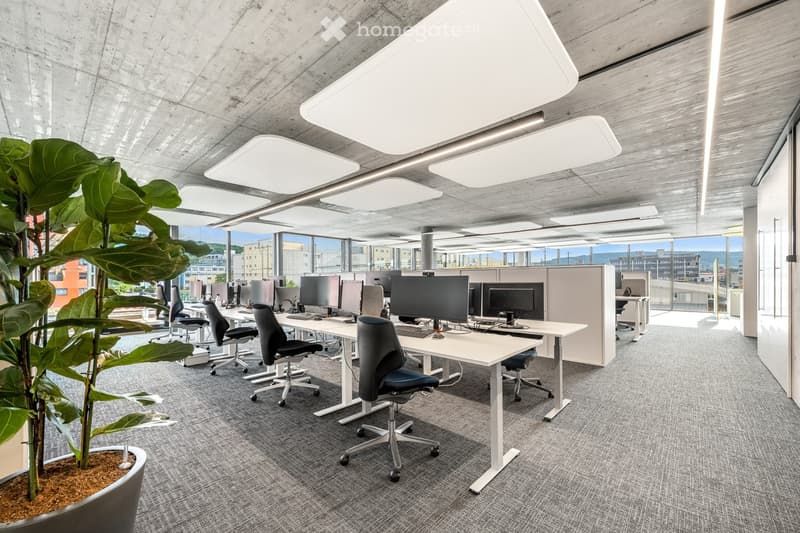 Large room with modern white desks, ergonomic chairs, and multiple computer monitors. A large green plant is present in the foreground.