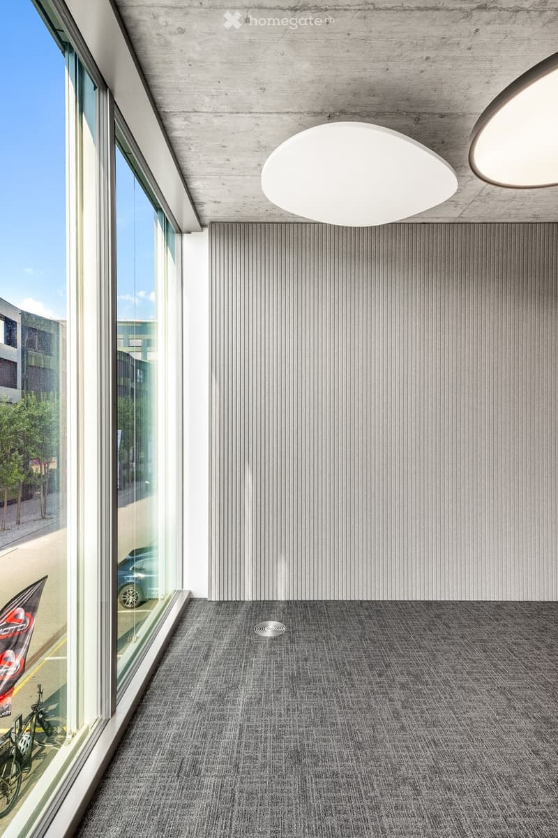 empty room, large windows, concrete wall, circular lights, large rug