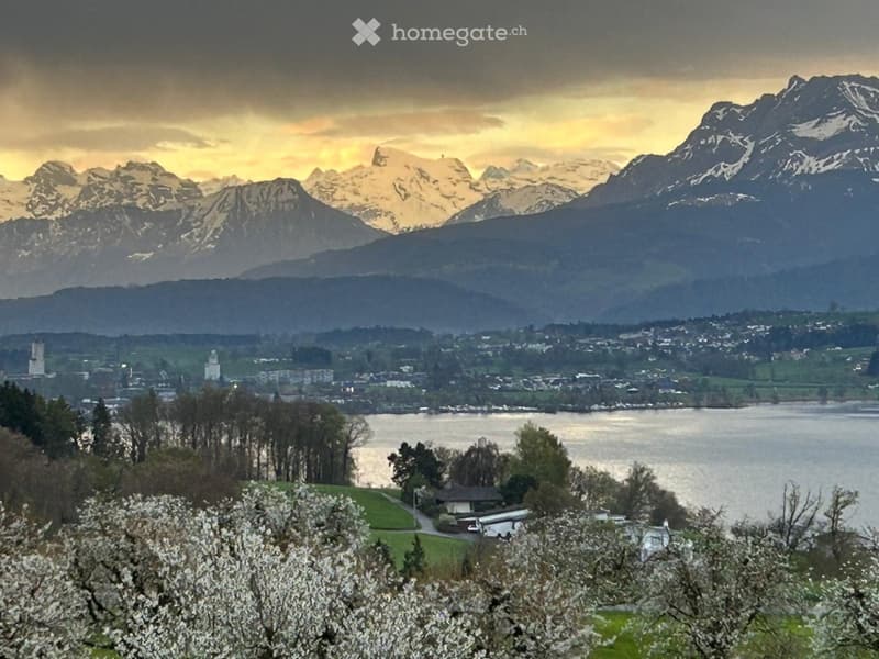 Panoramic view of a town with a lake and snow-capped mountains in the background, featuring blooming trees in the foreground.