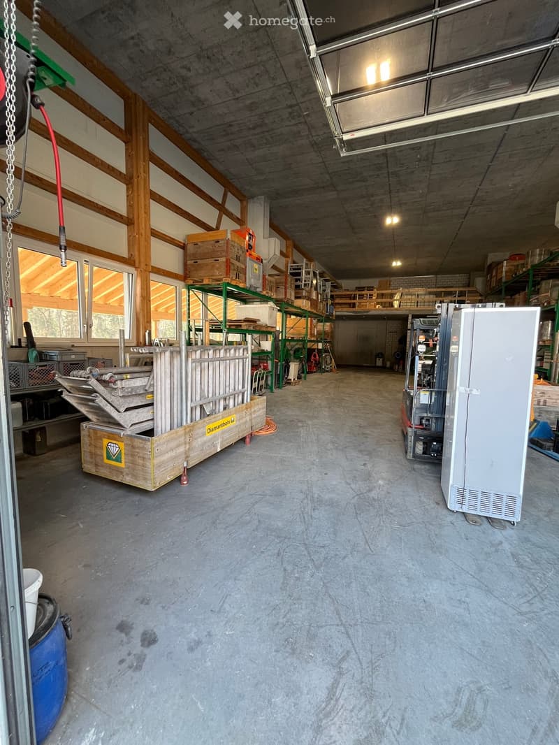 Industrial warehouse with high ceilings, concrete floors, wooden pallets, metal shelves, industrial equipment, large windows, and a forklift.