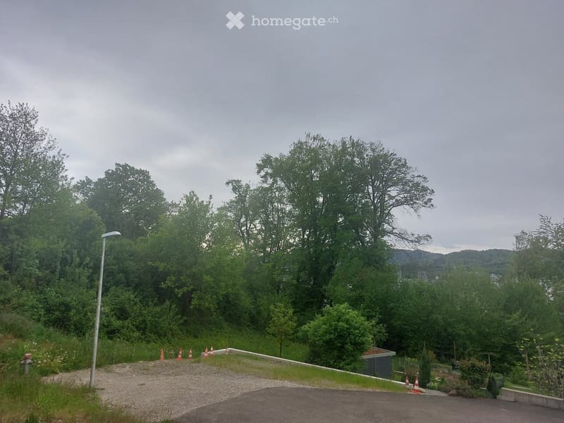 A gravel driveway surrounded by lush green trees and bushes, with traffic cones placed along the edge, indicating a construction or restricted area.