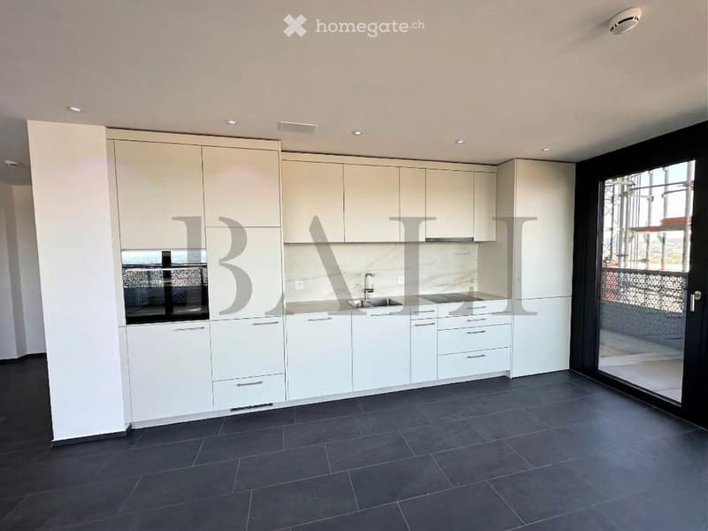 modern kitchen, white cabinets, black tiled floor, stainless steel sink, glass door, built-in oven