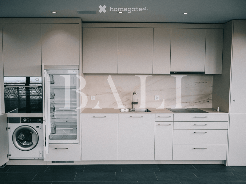 modern kitchen, white cabinets, marble countertop, stainless steel sink, dishwasher, washing machine