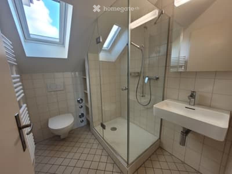 Bathroom with a glass shower, white sink, white toilet, white tiles, skylight