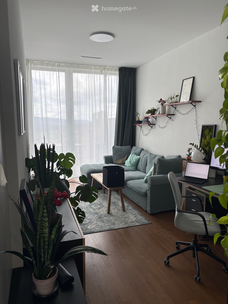 Moderne 2.5-Zimmer-Wohnung in Waldegg b. Uitikon (4)