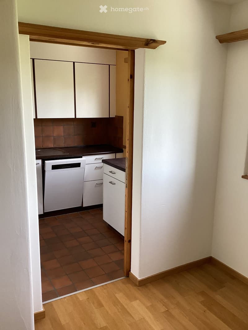 Compact kitchen with white cabinets, a dishwasher, and a dark countertop, connected to a wooden-floored hallway.