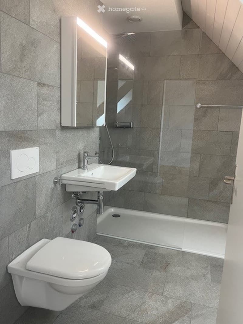 Modern bathroom with grey tiled walls and floor, white sink, toilet, and a glass-enclosed shower stall.