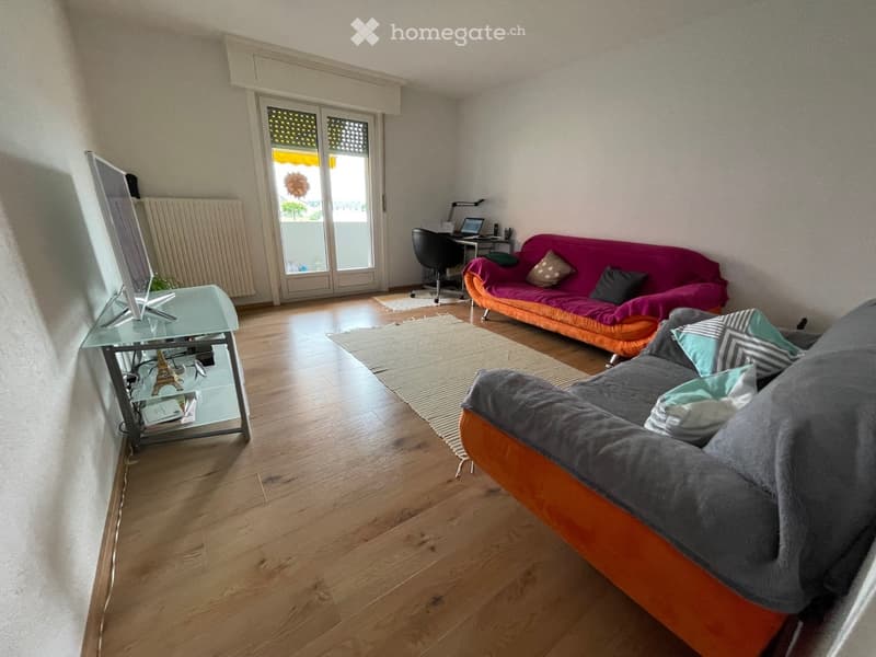 Two sofas, work desk, chair, monitor, floor lamp, rug, area rug, yellow awning over balcony
