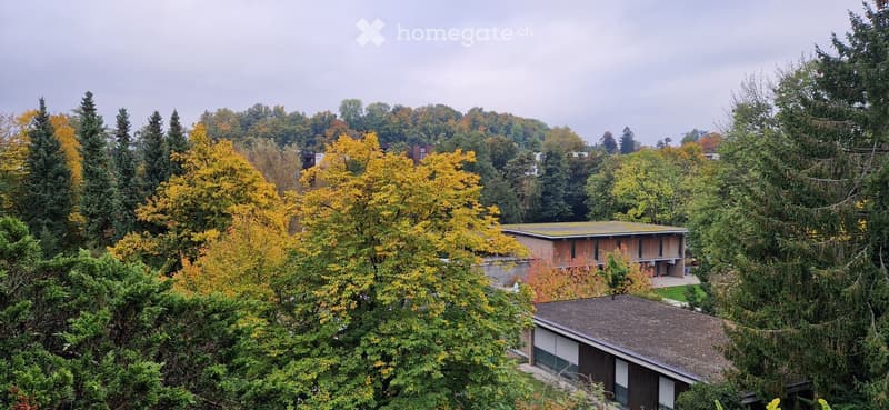 House is built in a wooded area, surrounded by trees. Building is mostly covered by greenery.