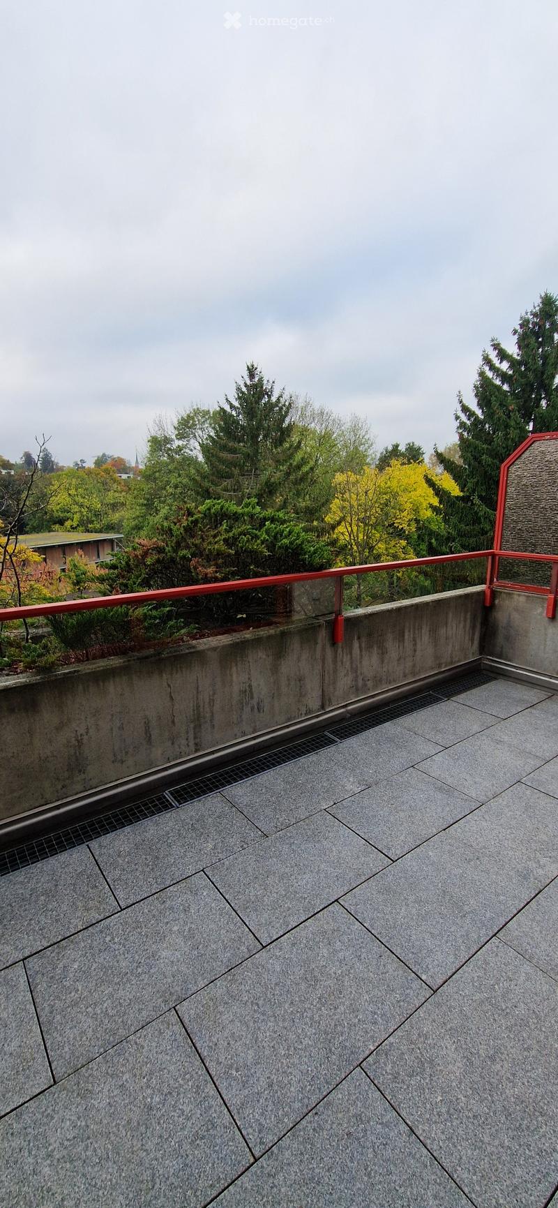 Exposed concrete terrace, gray floor, red railing, drain system, views of green trees