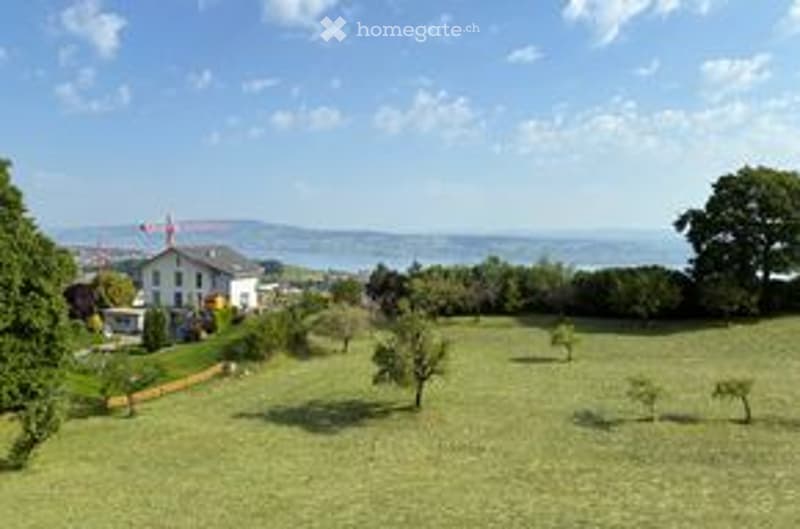Lush green garden with scattered trees, a winding path, and a distant view of a town and mountains under a clear blue sky.