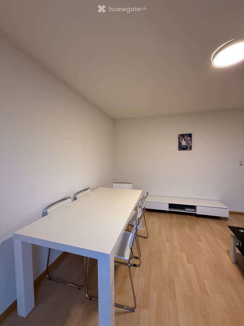 Helle, möbilierte 3-Zimmer-Wohnung im 3. Obergeschoss in Dübendorf Untermieter gesucht (8)