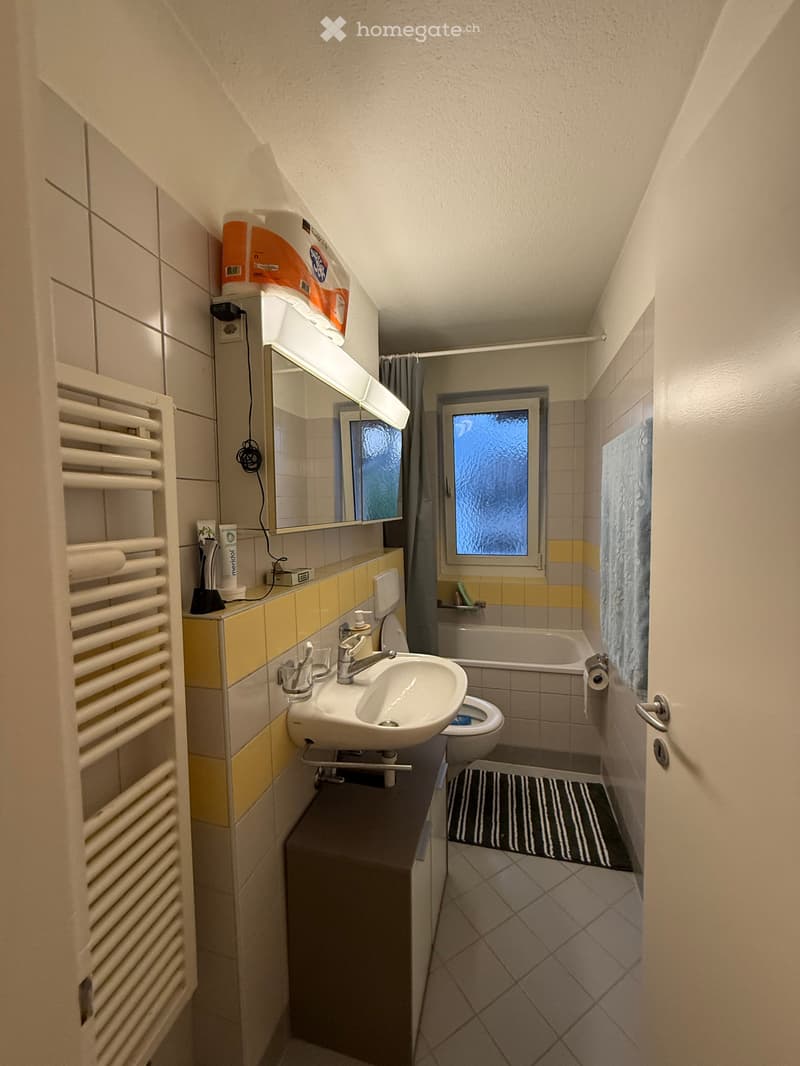Helle, möbilierte 3-Zimmer-Wohnung im 3. Obergeschoss in Dübendorf Untermieter gesucht (10)