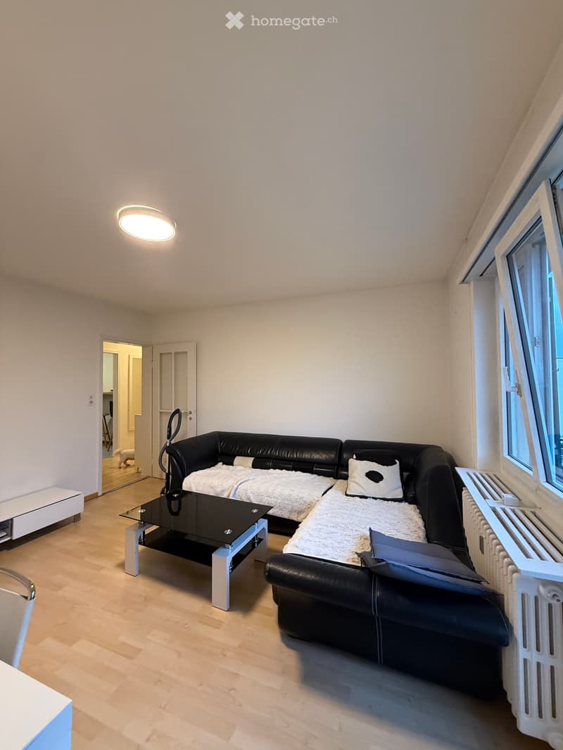 Helle, möbilierte 3-Zimmer-Wohnung im 3. Obergeschoss in Dübendorf Untermieter gesucht (5)