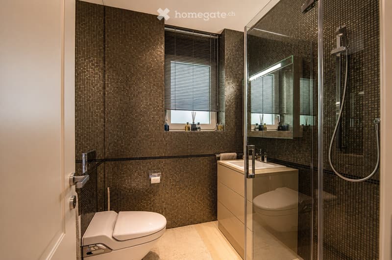 Modern bathroom with dark mosaic tiles, a toilet, a sink with a mirror, a glass-enclosed shower, and a window with blinds.