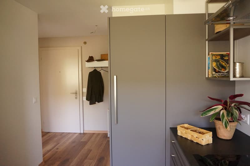 Furnished Room. A modern hallway with a coat rack, a small shelf holding a hat and coat, a potted plant on a table, and a wooden basket on the table.