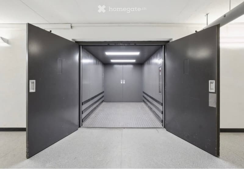 Corridor / Hallway. A modern, clean hallway with a large, open garage door leading to a spacious, well-lit garage area. The hallway features a smooth, light-colored floor and white walls, with a sleek, contemporary design.