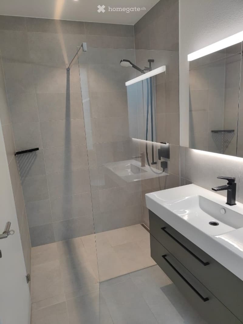 Modern bathroom with a white sink, large mirror, and a glass-enclosed shower area. Features include a sleek faucet, built-in cabinetry, and recessed lighting.