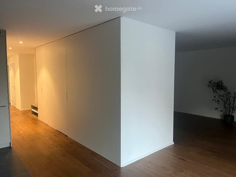 Empty room with light wooden flooring and white walls. A large white cabinet unit spans one wall, and a small potted plant sits in the corner.