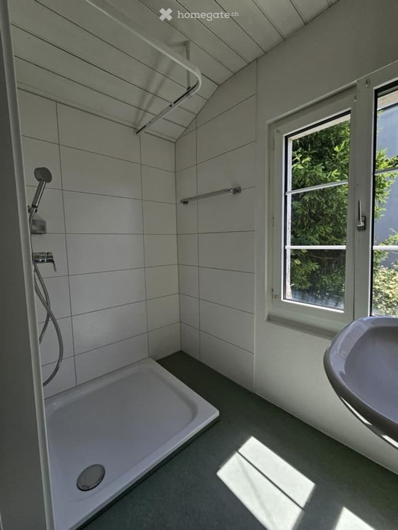 Modern bathroom with white tiled walls, a shower stall, a sink, and a window offering a view of greenery.
