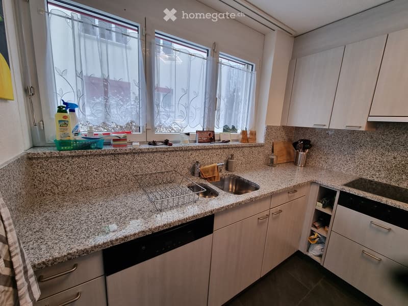 Modern kitchen with granite countertops, white cabinets, stainless steel sink, dishwasher, and various kitchen utensils and cleaning supplies on the counter.